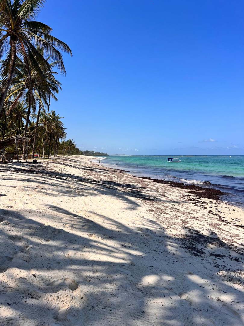 Beach. Swahili House, Tiwi, Turtle Conservation